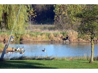 Property photo 118 - EHLE FARMS AUCTION - 118+/- ACRES IN 9 TRACTS IN ALLEN COUNTY, INDIANA